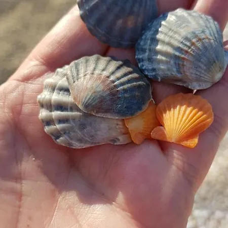 호텔 Почивна База Хелиос *
